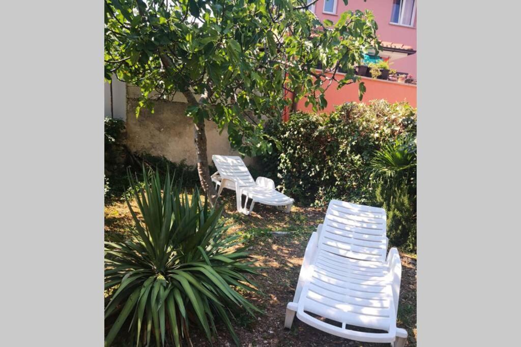 Casa Di Nonna Pina, Kuca U Blizini Arene Apartment Pula Exterior photo